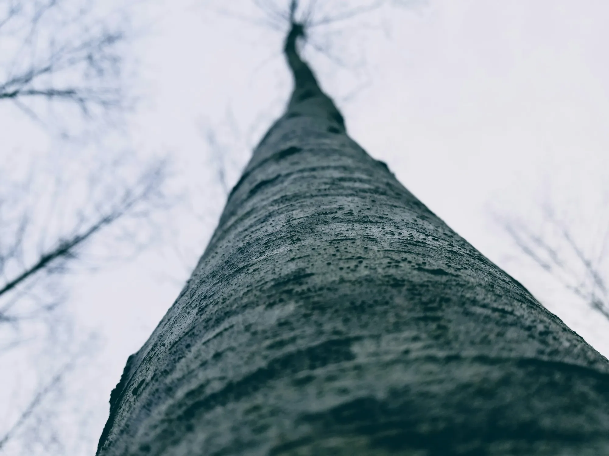 Le Trunk-Based Development, une solution radicale au « merge hell »